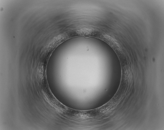 X0000087320498200704271431