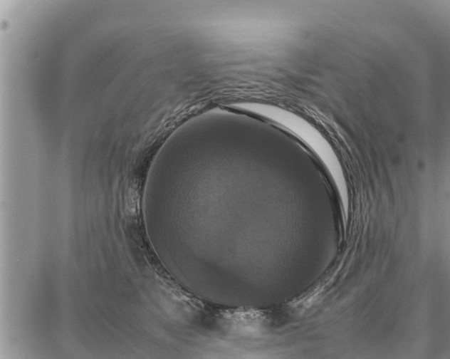 X0000087320517200704271431