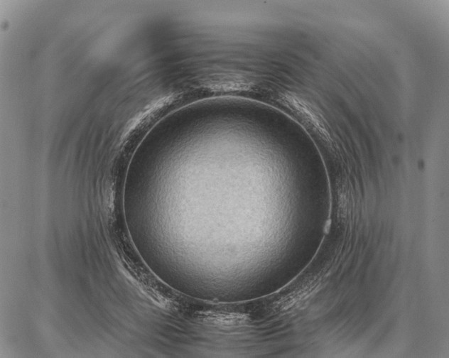 X0000087320539200704271430