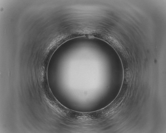 X0000087320544200704271430