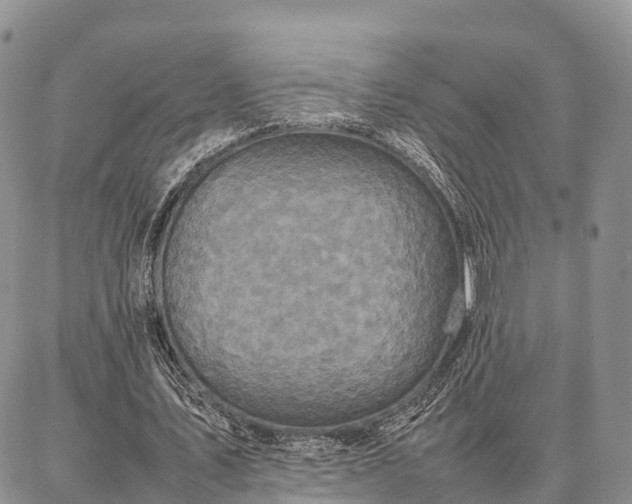 X0000087320579200704271430
