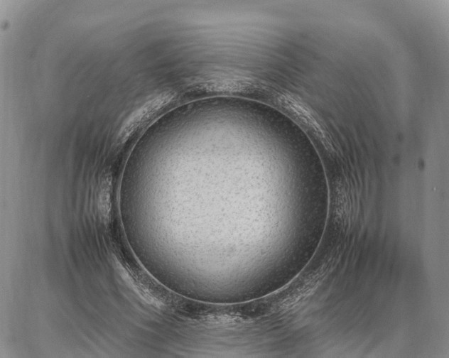 X0000087320586200704271429