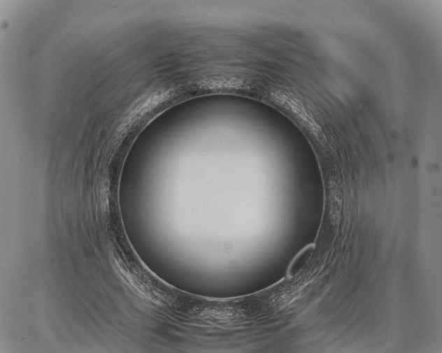 X0000087320631200704271428