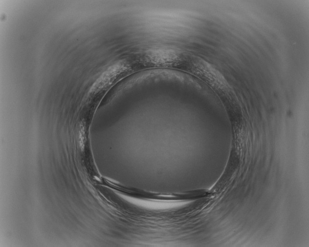 X0000087320644200704271428