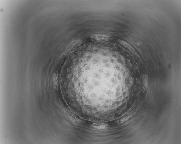 X0000087320667200704271429