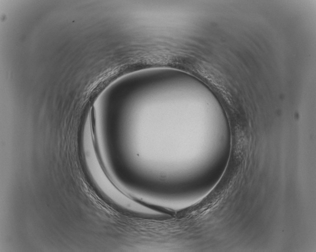 X0000087320681200704271428