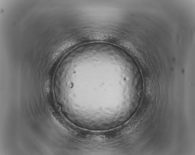 X0000087320683200704271428