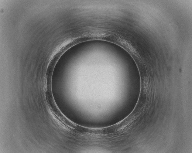 X0000087320726200704271427
