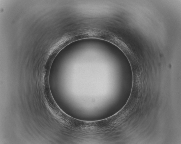 X0000087320730200704271427