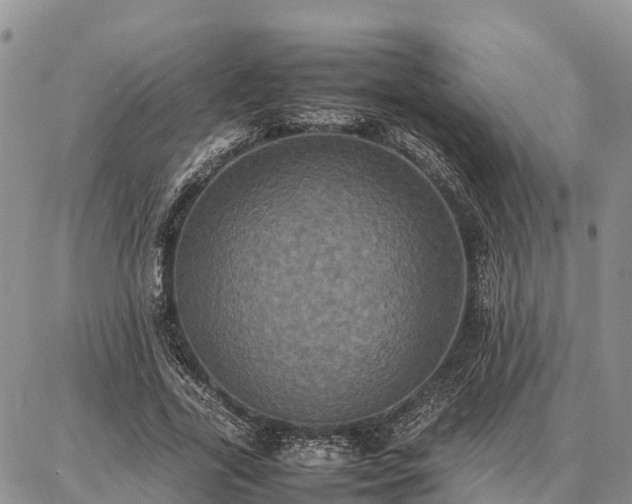 X0000087320731200704271427