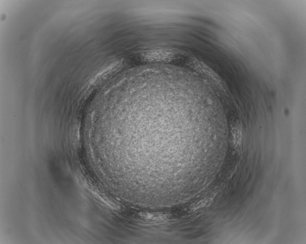 X0000087320733200704271427