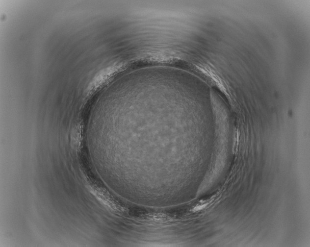 X0000087320736200704271427