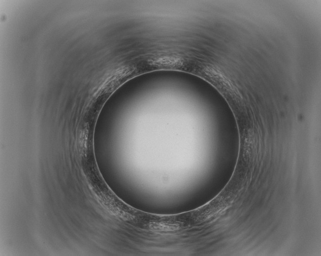 X0000087320739200704271427