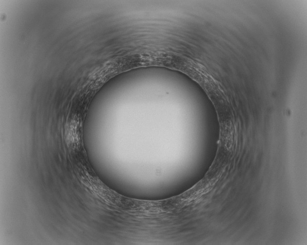 X0000087320770200704271426