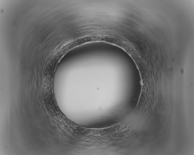 X0000087320773200704271426