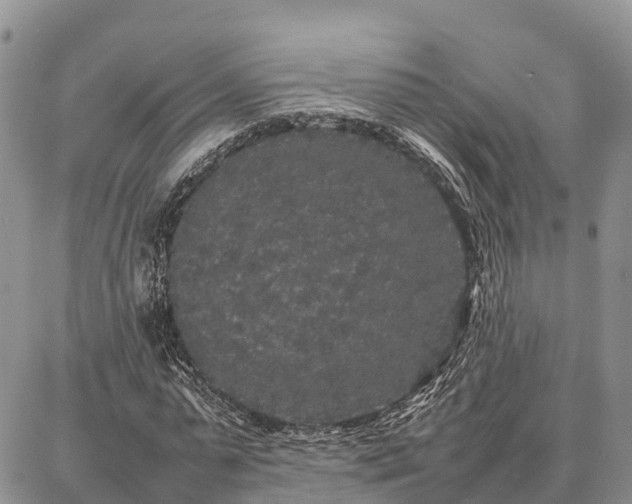 X0000087320775200704271426