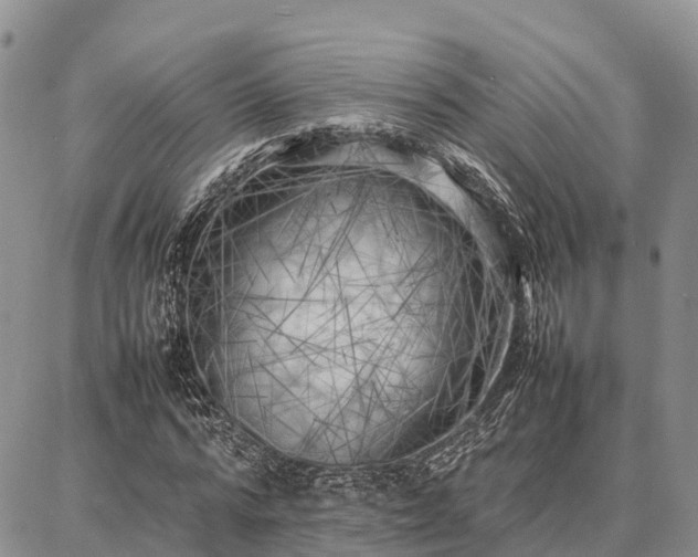 X0000087320776200704271426