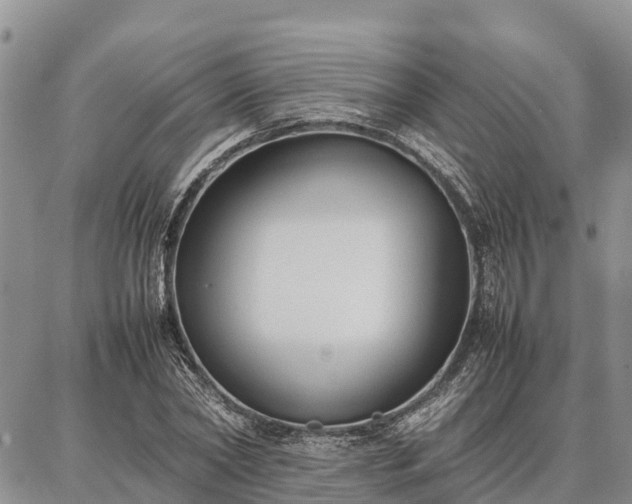 X0000087320782200704271426