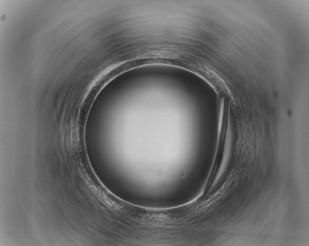 X0000087320784200704271426