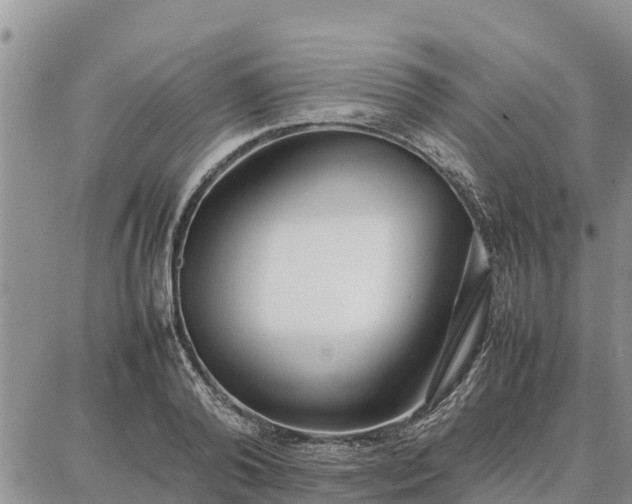 X0000087320792200704271426
