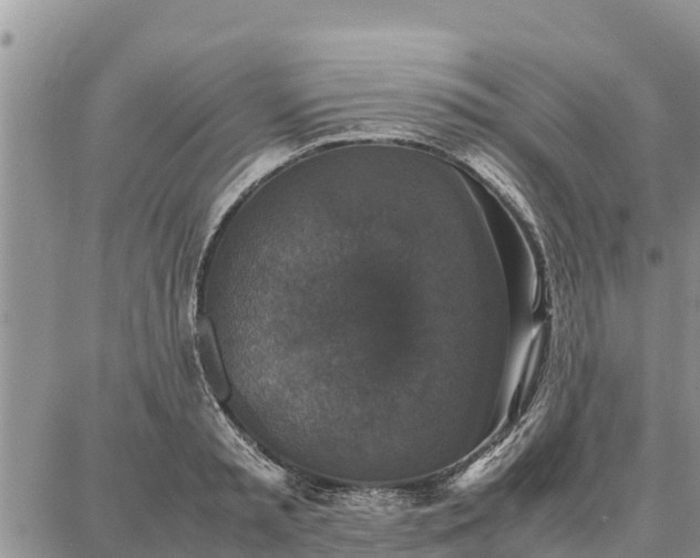 X0000087320797200704271426