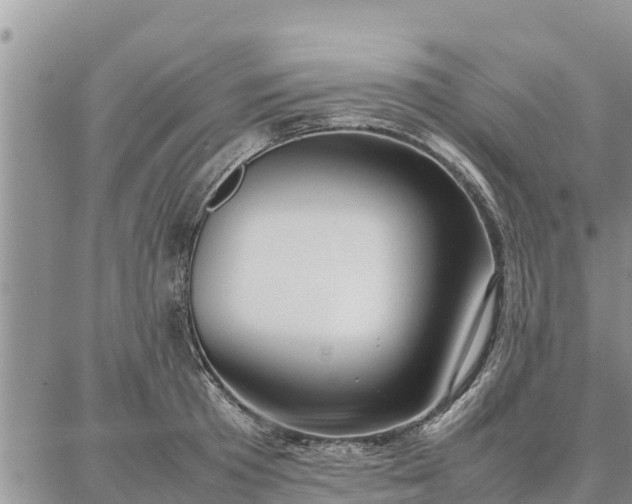 X0000087320801200704271426