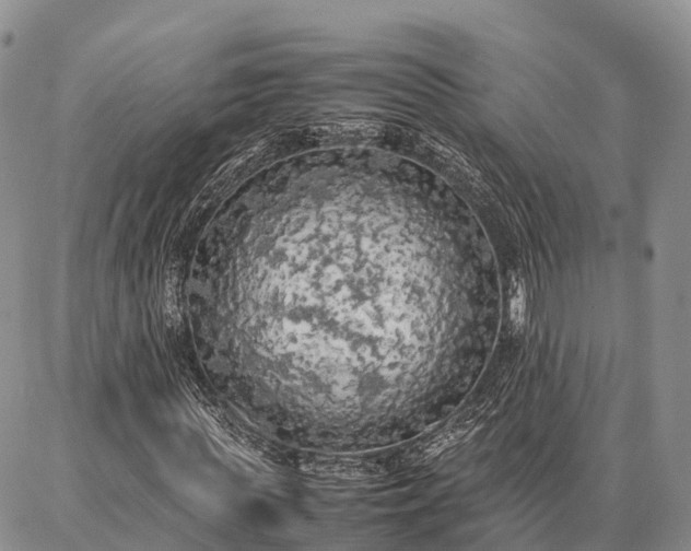 X0000087320819200704271425