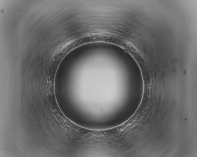 X0000087320822200704271425