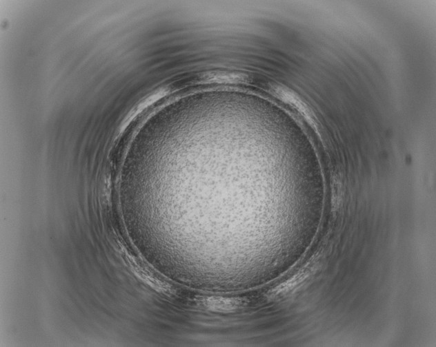 X0000087320827200704271425