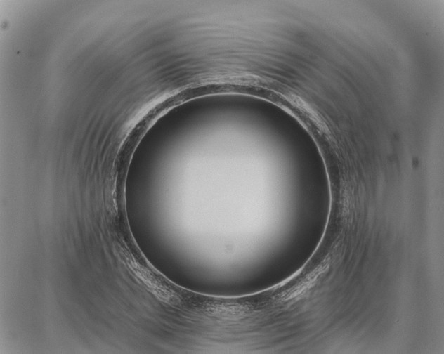 X0000087320830200704271425