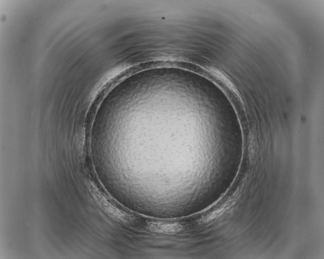 X0000087320831200704271425