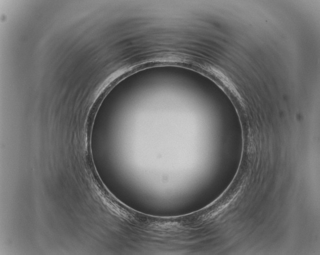 X0000087320837200704271425