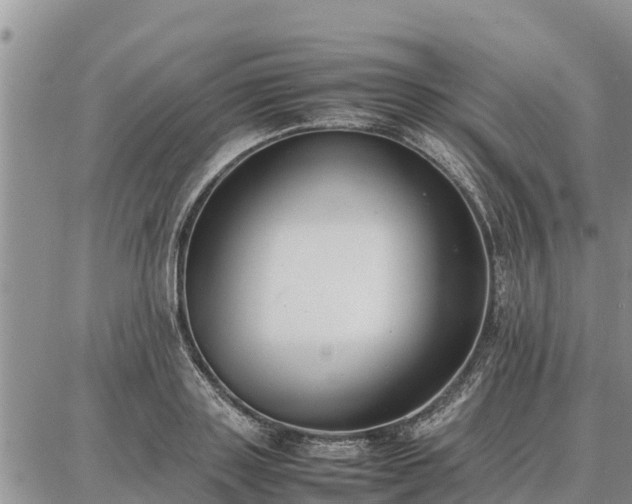 X0000087320843200704271425
