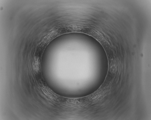 X0000087320866200704271425