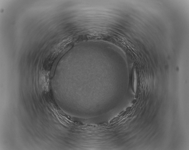 X0000087320868200704271425