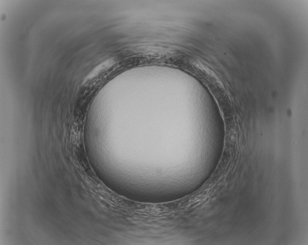 X0000087320869200704271425