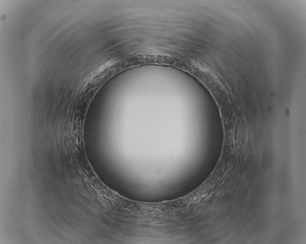 X0000087320870200704271425