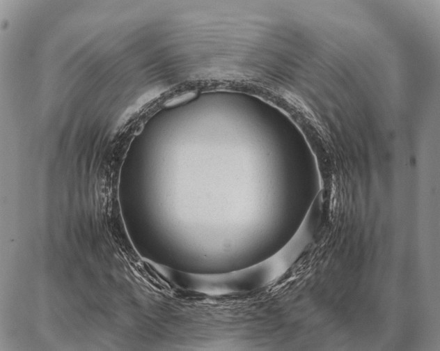 X0000087320872200704271425