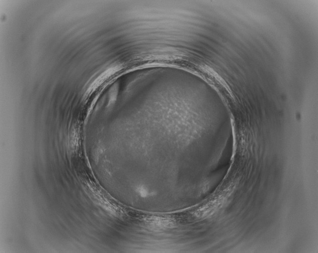 X0000087320874200704271425