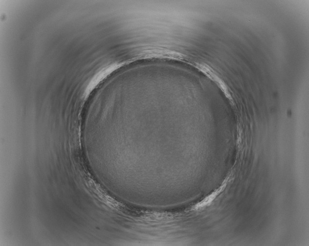 X0000087320877200704271425