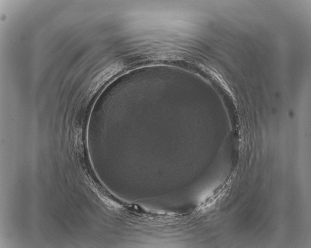 X0000087320881200704271425