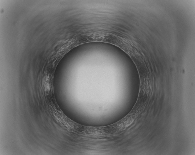 X0000087320962200704271423