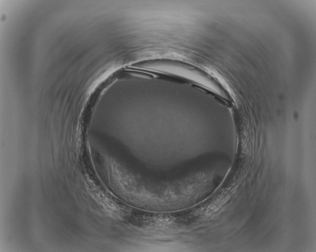 X0000087320975200704271423