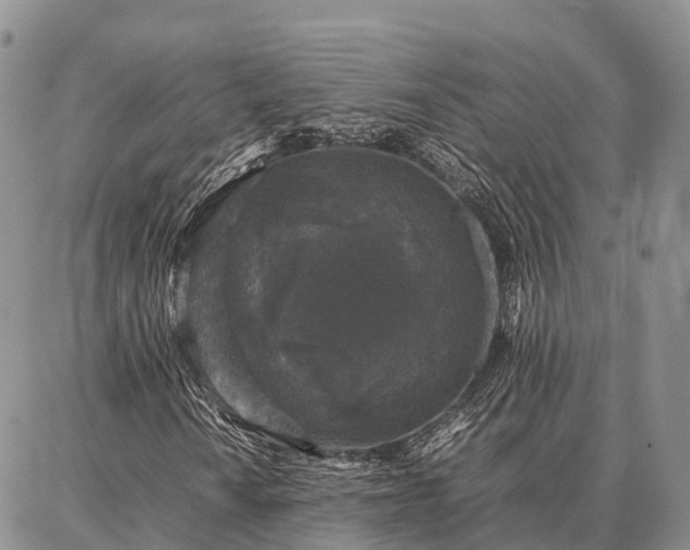 X0000087321010200704271422