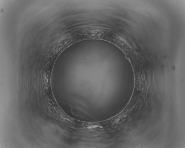 X0000087321013200704271422