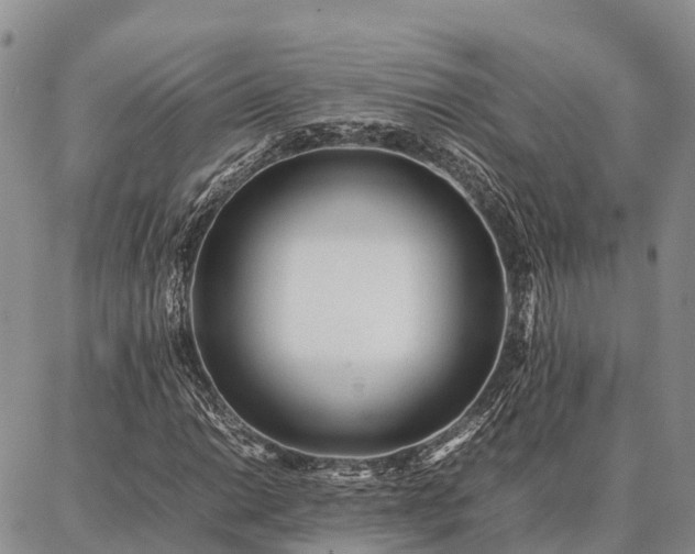 X0000087321014200704271422