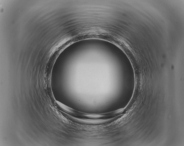 X0000087321018200704271422