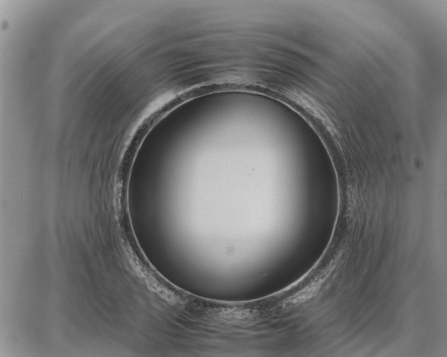 X0000087321029200704271422