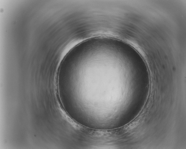 X0000087321056200704271423