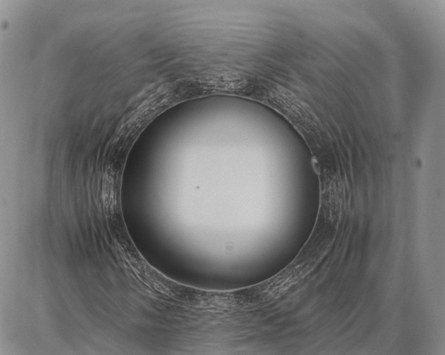 X0000087321058200704271422
